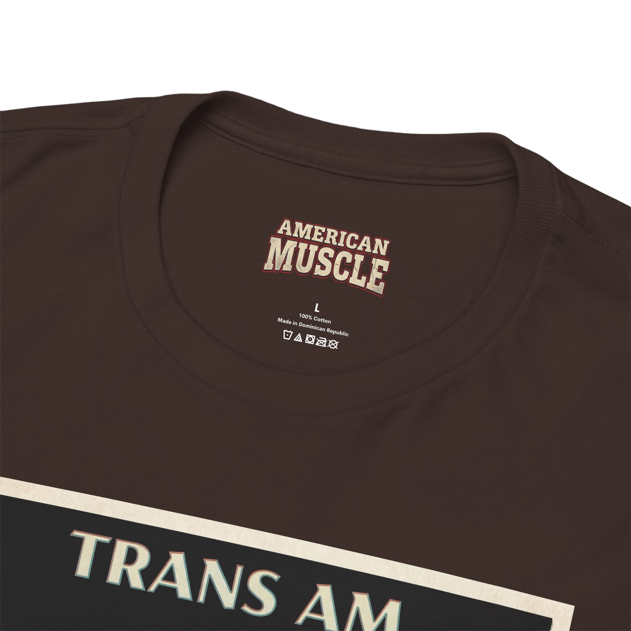 1970 Pontiac Trans Am American Muscle T-Shirt – Vintage Car Graphic Tee